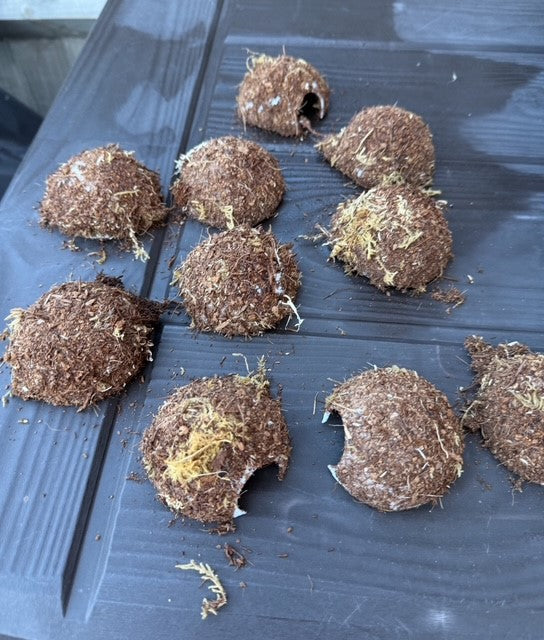 DartFrog/Reptile Coconut Hide