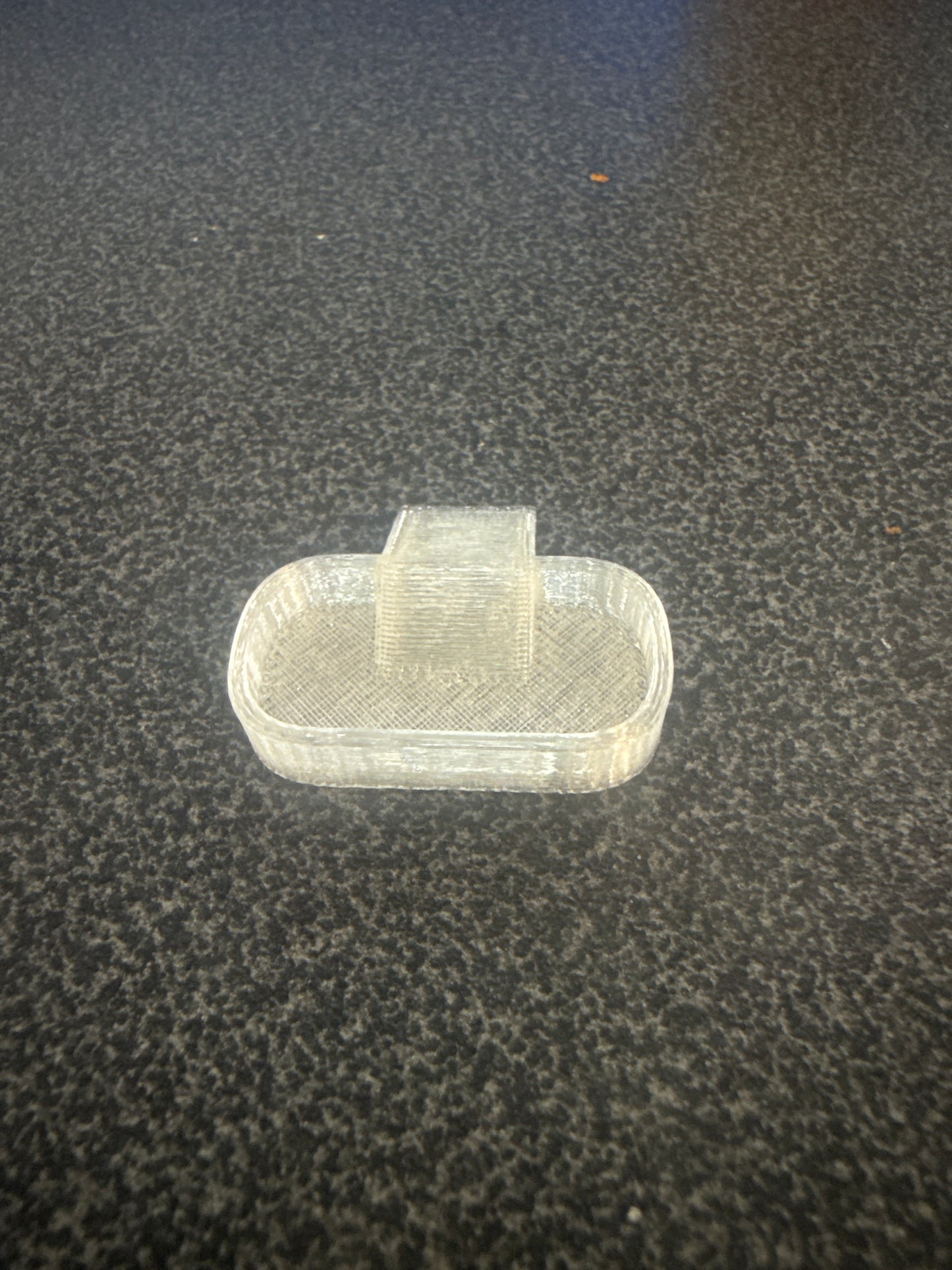 Clear Isopod Food Bowl